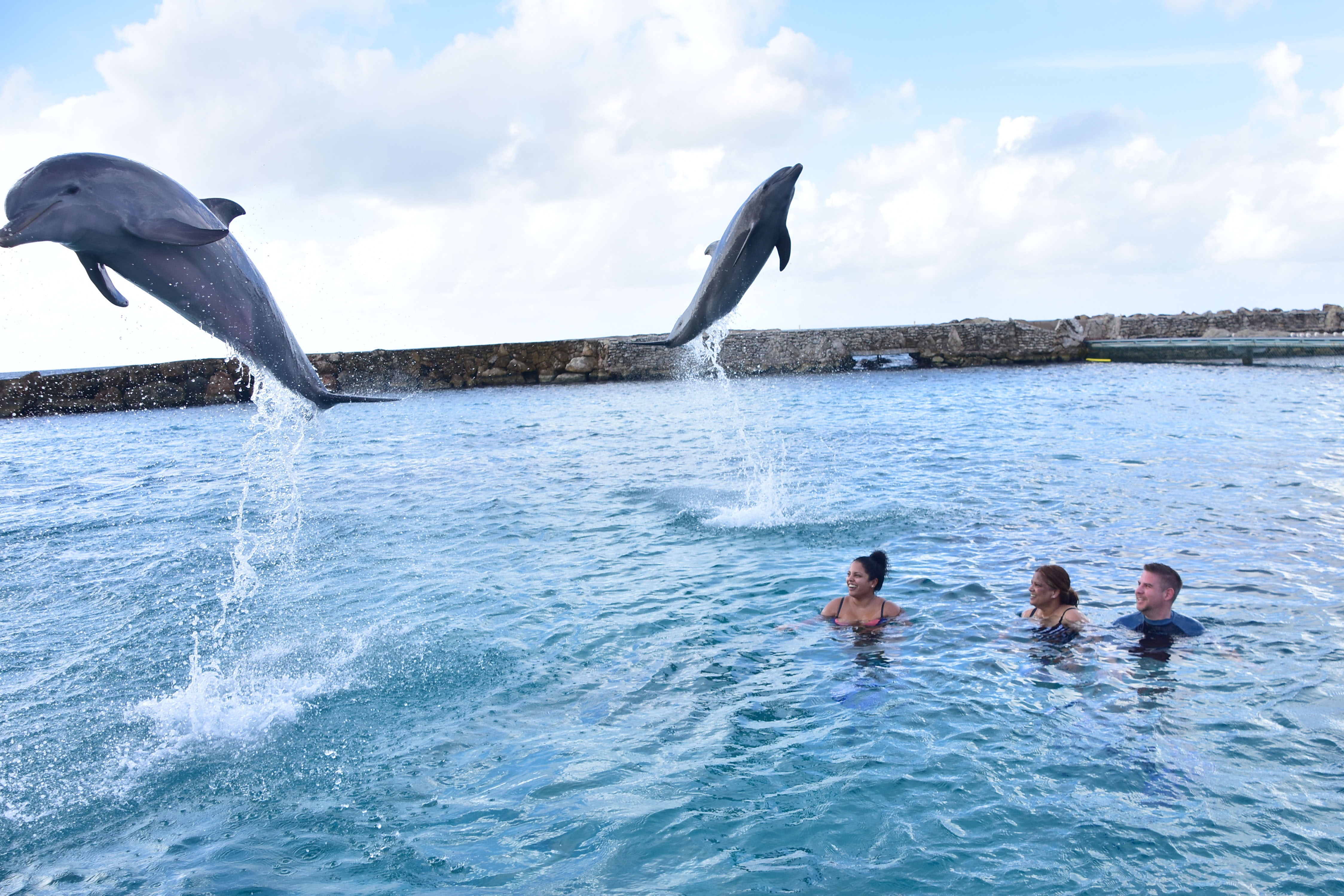 Our amazing experience at Dolphin Academy Curacao